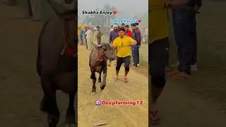 Shakha with Deep kasana❤️ #viral #trendingshorts subscribe share🫶❤️