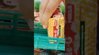 parle-G loading 🤤🤤🤤🤢🤢🍩🍩🍩🍩☺️☺️☺️#shorts