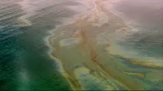 California beach closed due to oil slick