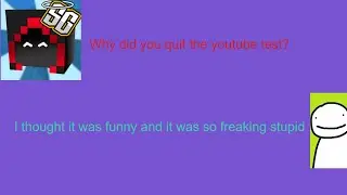 Dream Explaining Why He Rage Quit During Skeppy's Youtuber Test {Stream highlights}