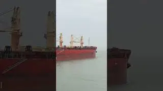 WHAT KIND OF SHIP IS THIS 😲#seamans #ofw #seaman #seamanslifeonboard #seafarer #yt #ytshorts #fyp
