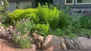 June 2023 garden tour - Springfield, Manitoba