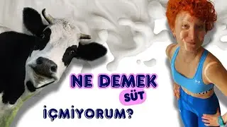 13.Bölüm: Ketojenik Beslenme | Süt ve Süt Ürünleri