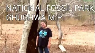 National Fossil Park - 1st complete documentary
