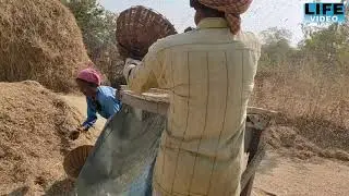dhaan ki Safai | paddy cleaning | vlog video.