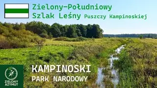 ZIELONY-POŁUDNIOWY SZLAK LEŚNY PUSZCZY KAMPINOSKIEJ Kampinoski Park Narodowy MAZOWSZE