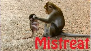 Mistreat! One Again Mom Anna Slap Baby Alba Without Reason. Pity Baby Alba Cry and Walk Follow Mom.
