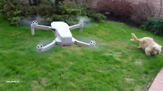 DJI Mini 2 SE išpokavimas ir testinis skrydis