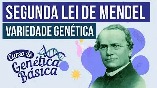 2ª LEI DE MENDEL: variedade genética | Curso de Genética Básica | Biologia Enem | Cláudia Aguiar