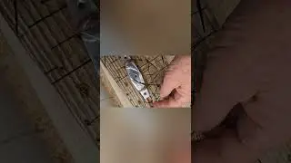 Installed 2 new line chocks on bow sprit C&C 39 Sailboat