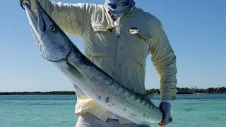 Barracuda fishing from the archives 