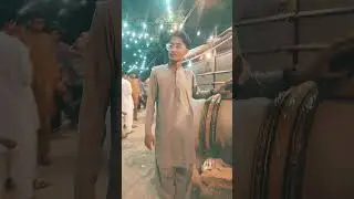 JDC Teddy Cow Big Version 2024 Bakra Eid