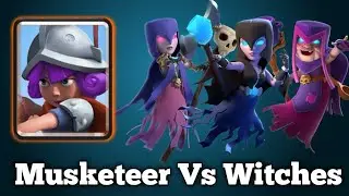 Musketeer VS All Witches - 2.6 Hog Cycle Guide - How to play Hog Cycle - Musketeer Vs Mother witch