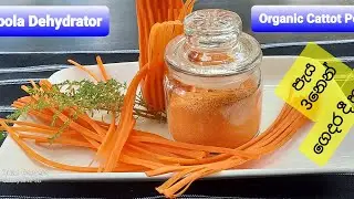 Carrot 🥕 Powder 🔋Making