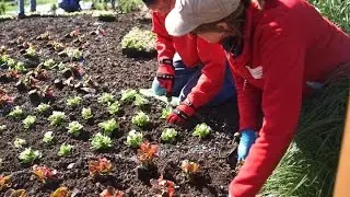 Nebraska Stories | Planting A Sunken Garden