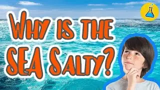 Why is the Sea Salty?