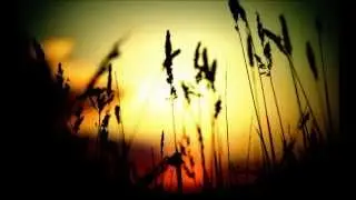 Curaheeh - New Day