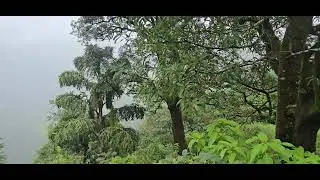 Ekiv waterfall travel vlog.Aise hi our videos ke liye channel ko subscribe kare,thanks for watching.