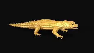Preview | Gold lizard | 3d animation - Round view