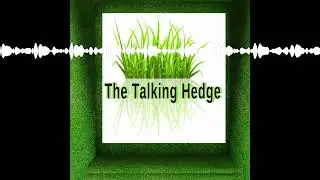 Top 10 Pot Stock News Stories of the Week