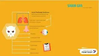 SARIN GAS- TARGET ORGANS IN HUMANS