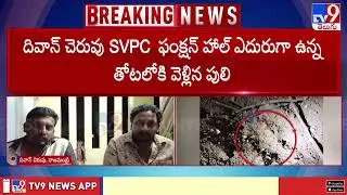 East Godavari : రాజానగరంలో కలకలం రేపుతున్న పులి సంచారం - TV9
