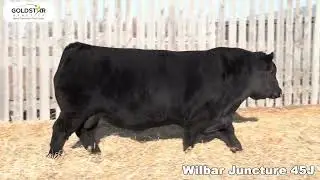 WILBAR JUNCTURE 45J