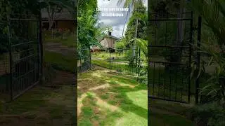 Land for sale in kandy - Kiribathkubura | Flat land #srilands #lands #real estate #kandy #property