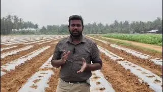 தர்பூசணி பயிரில் உயிரியல் வழிமுறைகள் | Biological Practices in Watermelon Crop