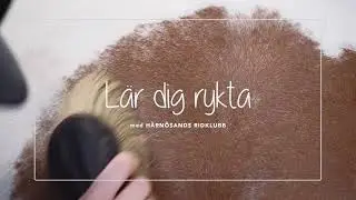 Lär dig rykta med Härnösands Ridklubb