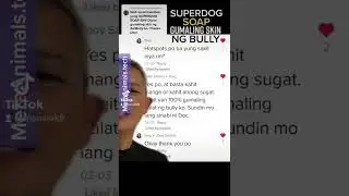 Dahil sa Superdog Soap, Gumaling na ang Balat ng Bully