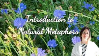 Natural Metaphors | Connect to nature and yourself