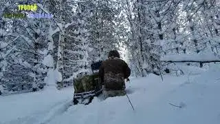 Лесной маршрут по рыхлому снегу 90 см на Альбатросе-XLV9