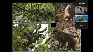 Jedediah Brodie, University of Montana   Conservation ecology in Southeast Asia