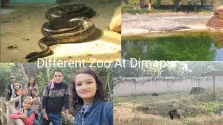 बहुत सारे Different Animals थे यहां पर। Zoological Zoo Park At Dimapur.अलग सा Zoo था।