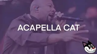 Common - I Used to Love H.E.R Acapella 92 BPM - 4K Acapella Cat