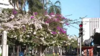 Cidade Ideal