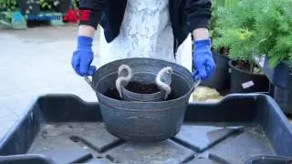 ACE Projects #8 - Herb Garden