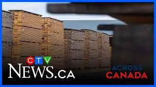 B.C. reacts to new softwood lumber supports | Across Canada for Nov 27, 2025