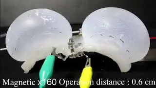 magnetically-driven crawling soft robot (without knife foot)