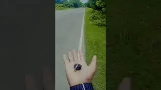 #viralshorts #viralvideo #newraid#🏍️🏍️🏍️