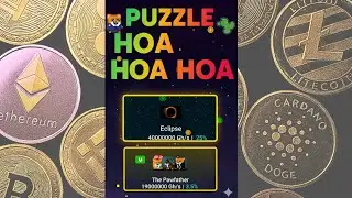 RollerCoin: Novo Puzzle! Vale a Pena Completar TUDO ou Focar no Melhor Minerador? 🤔