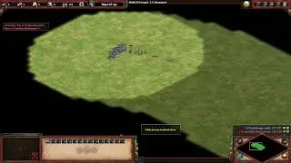 AoE2 April 2023 PUP Gambeson Test