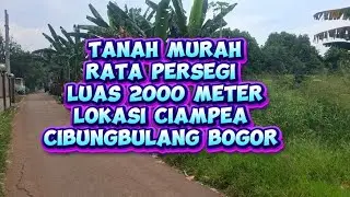 Di Jual Tanah Kebun Murah Rata Persegi LT 2000 Meter Surat AJB Akses Masuk Mobil