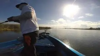 California delta bass fishing,  9 pound bass cranking