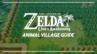 Link's Awakening Switch | Animal Village Guide