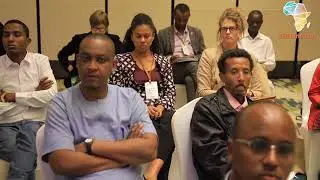 Hub Cities: Emergency Measures, Protection Mechanisms and Relocation for Activists