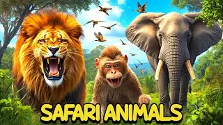 Safari Animal Sounds Song I Jungle Beats & Animal Rhyme I Learn Animal Names & Sounds