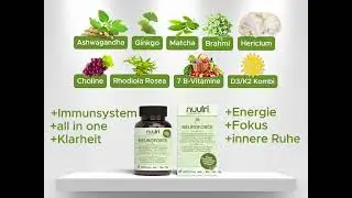 NEUROFORCE: Das All-In-One ADHS-Supplement aus der Schweiz