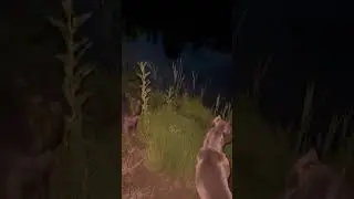 Ніхто не втече #два питбуля это сила #music #nature #tret #амстафф #puppy #doglife #automobile #wild